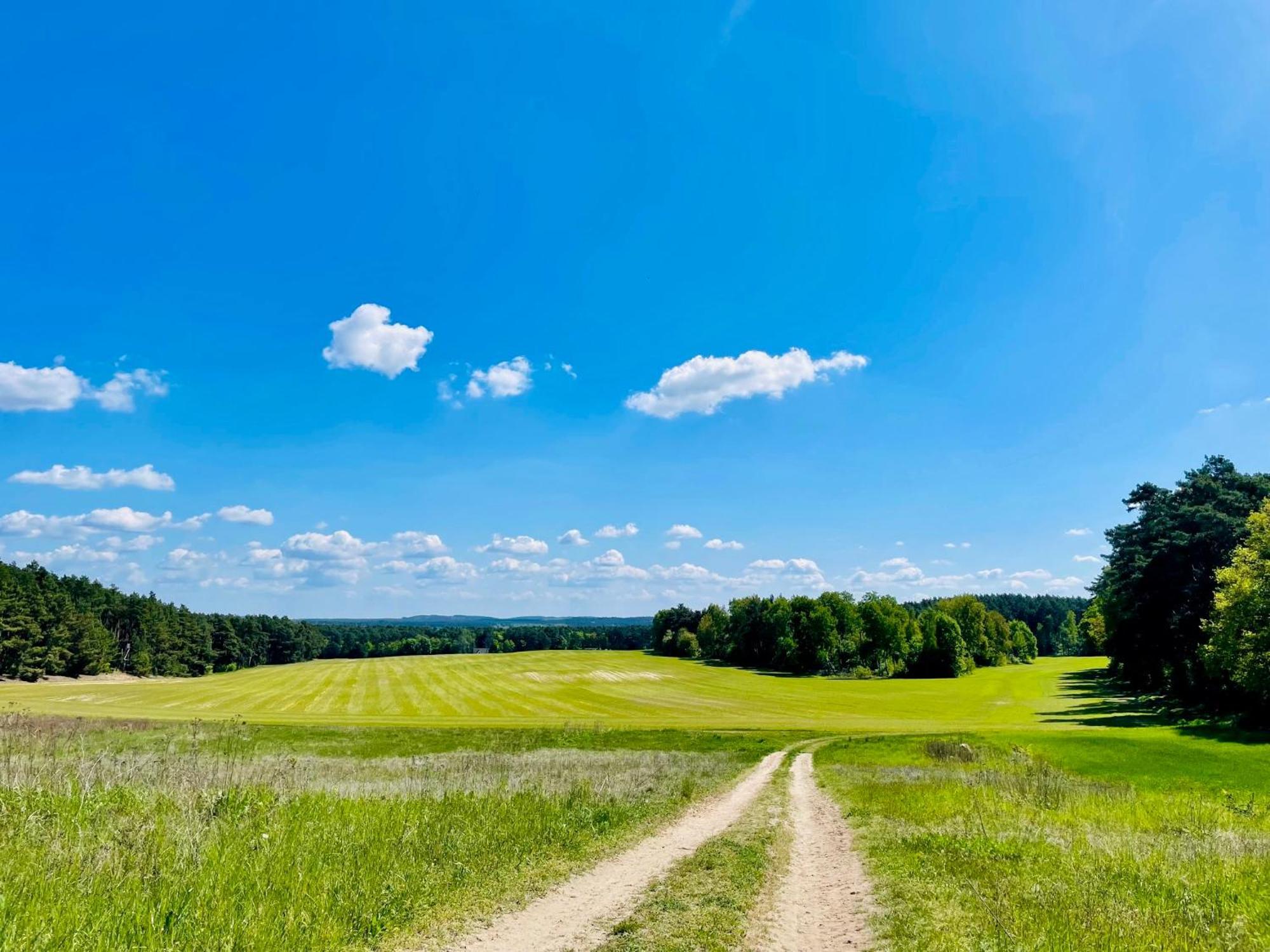 Ferienhaus Am Silberberg, Bad Saarow Luaran gambar